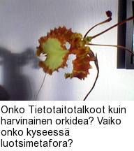 Onko Tietotaitotalkoot kuin harvinainen orkidea? Vaiko onko kyseess luotsimetafora?