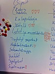 12.1Aluksi vanhan tavan mukanaan l�mmiteltiin miettim�ll�, mit� sy�t�isiin  