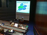 Elina Leppänen esitteli kylien strategioita
