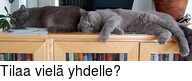 Tilaa viel yhdelle?