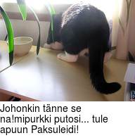 Johonkin tänne se na!mipurkki putosi... tule apuun Paksuleidi!