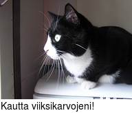 Kautta viiksikarvojeni!