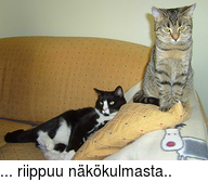 ... riippuu nkkulmasta..