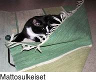 Mattosulkeiset