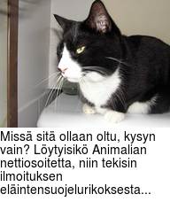 Miss sit ollaan oltu, kysyn vain? Lytyisik Animalian nettiosoitetta, niin tekisin ilmoituksen elintensuojelurikoksesta...