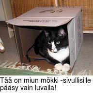 T on miun mkki -sivullisille psy vain luvalla!