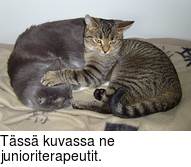 Tässä kuvassa ne junioriterapeutit.