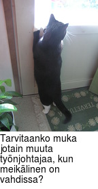 Tarvitaanko muka jotain muuta tynjohtajaa, kun meiklinen on vahdissa?