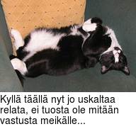 Kyll tll nyt jo uskaltaa relata, ei tuosta ole mitn vastusta meiklle...