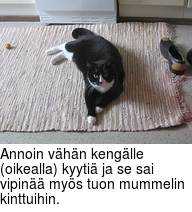 Annoin vhn kenglle (oikealla) kyyti ja se sai vipin mys tuon mummelin kinttuihin.
