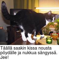 Tll saakin kissa nousta pydlle ja nukkua sngyss. Jee!