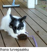 Ihana turvepaakku