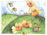 Kankainen vuositaulu 2010<br>40  / kpl