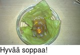 Hyv soppaa!