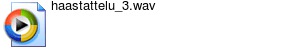 haastattelu_3.wav