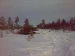 Kivipuronvarsi