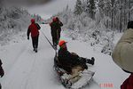 Tässä nilkki Eki unohtu kaadolta kyytiin,vetomatkaa oli 700 metriä,eikä kukaan huomannu ennenku päästiin tielle.