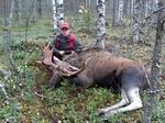 Tämä sonni rymisteli pyyntialueemme läpi,mutta kaatui kalkkiviivoille.