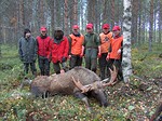 Tällä kertaa veljekset piiirittivät sonnia...