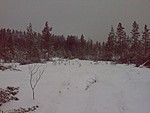 Riekot tervetuloa