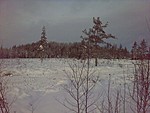 Vinkka k�y