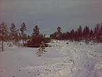 Kivipuronvarsi