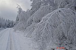 Kaunista raittia.