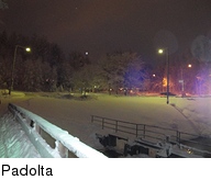 Padolta